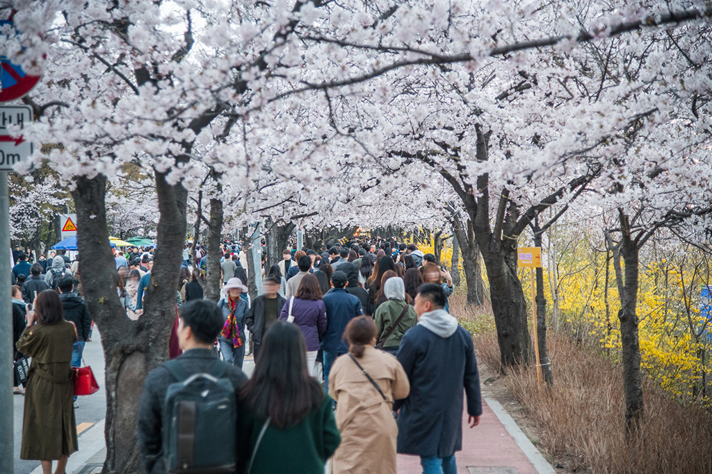 Ajou University