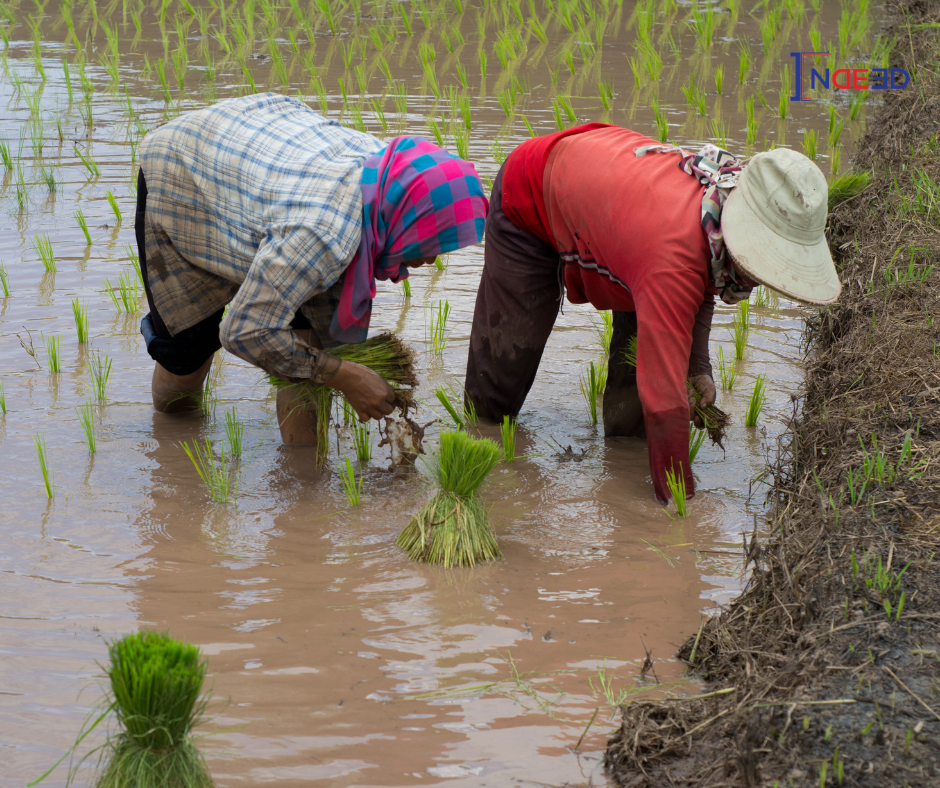 Công việc làm thêm phổ biến và mức lương tại Hàn Quốc
