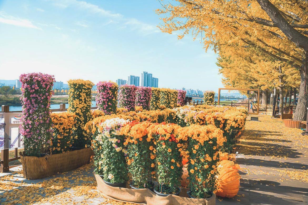 canh dep o thanh pho Asan