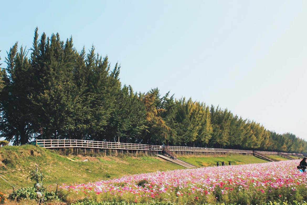 cảnh đẹp ở thành phố Asan