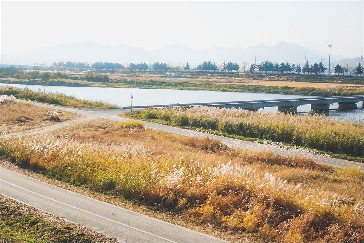 cảnh đẹp ở thành phố Asan