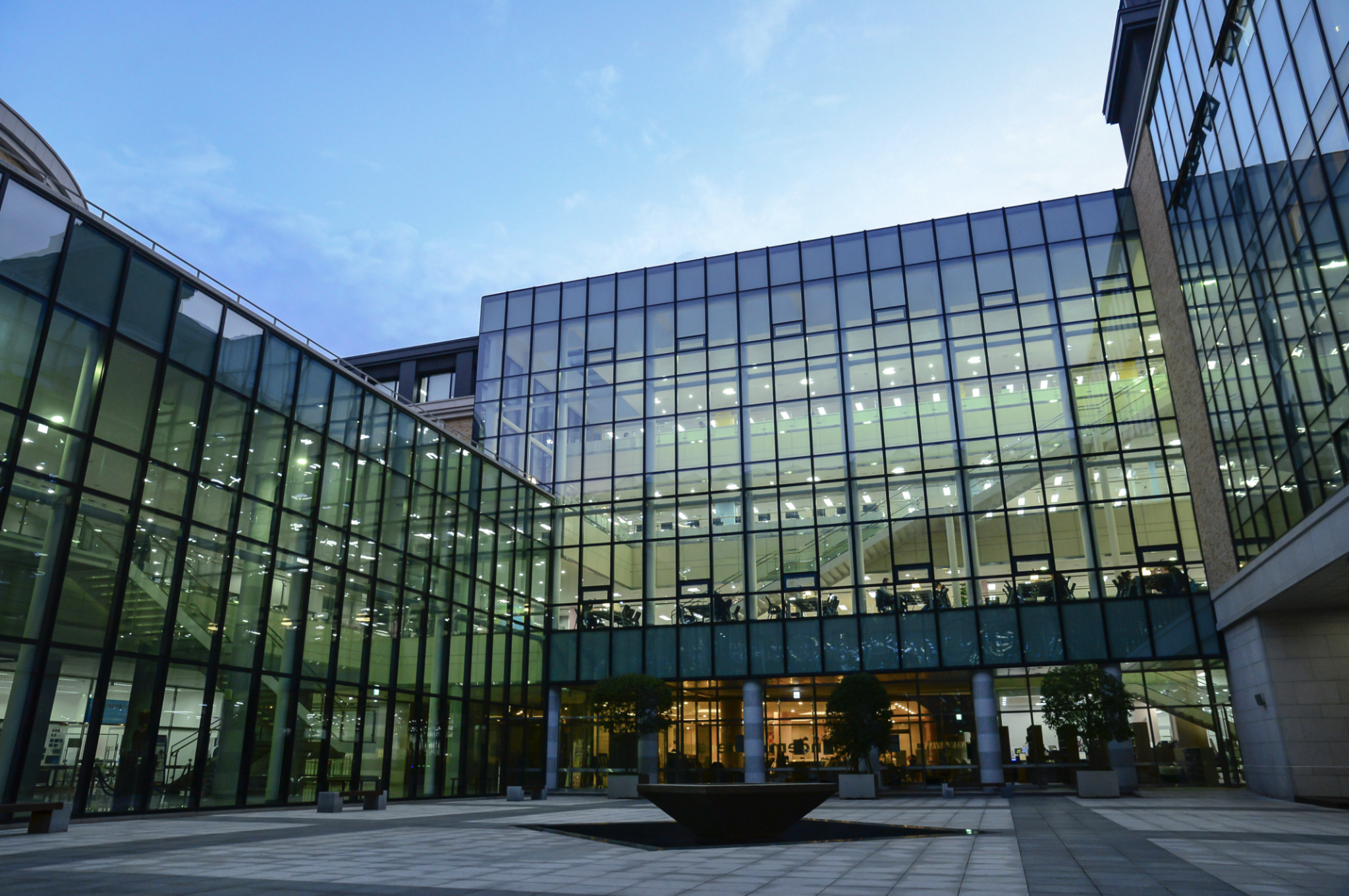 trường Đại học Ngoại ngữ Busan