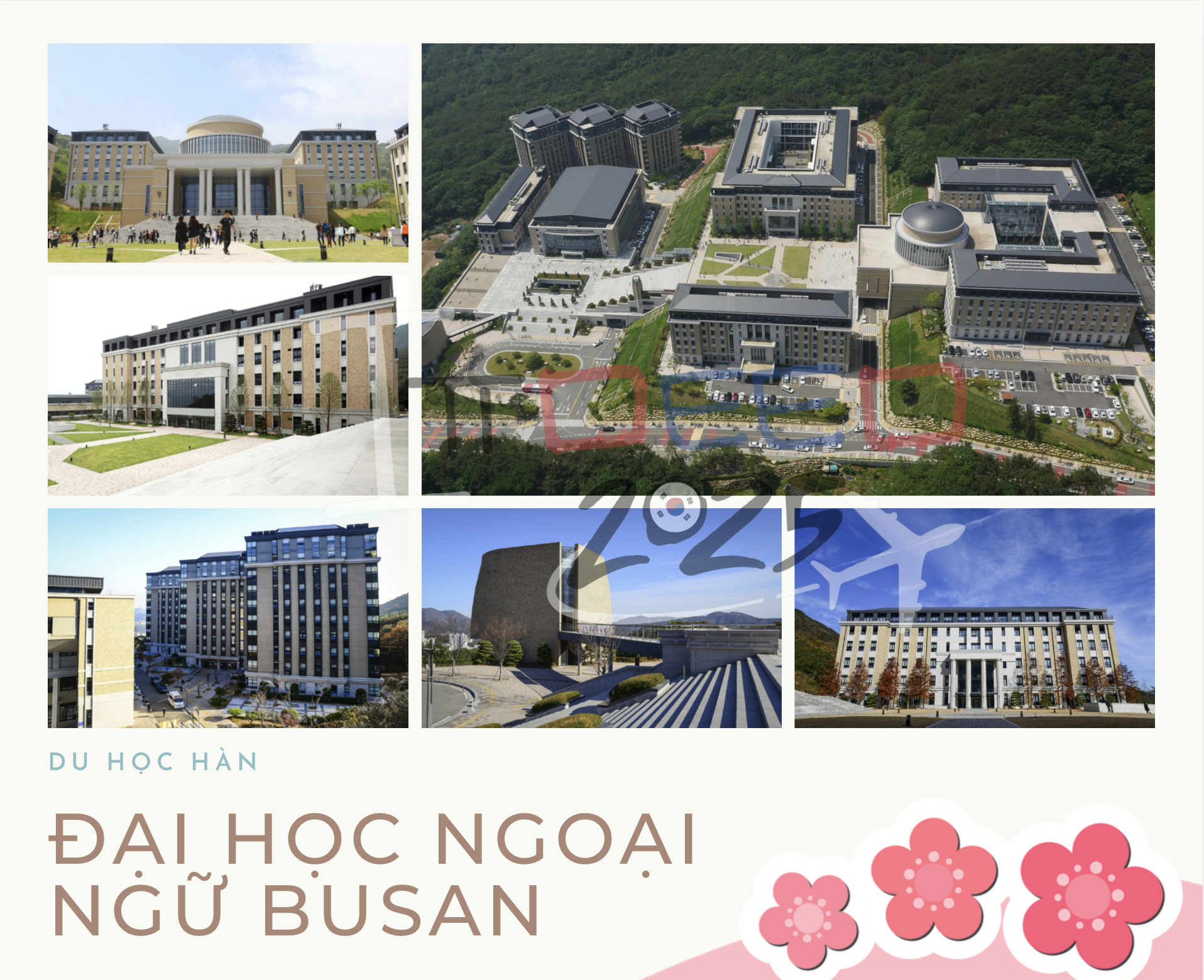 trường Đại học Ngoại ngữ Busan